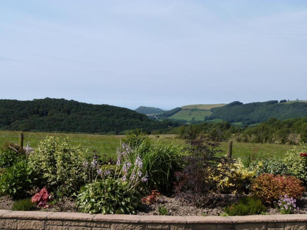 Aberystwyth Enlli Cottage Bagian luar foto